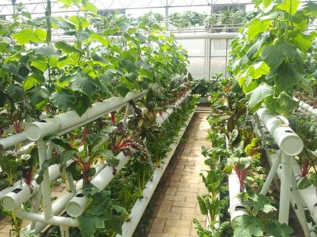 65071f0d0aa245f2923de04aa1b7a014_th.jpg 65071f0d0aa245f2923de04aa1b7a014_th.jpg