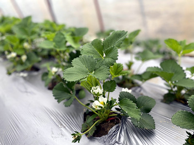 t033d49120c8e2dc647.jpg t033d49120c8e2dc647.jpg