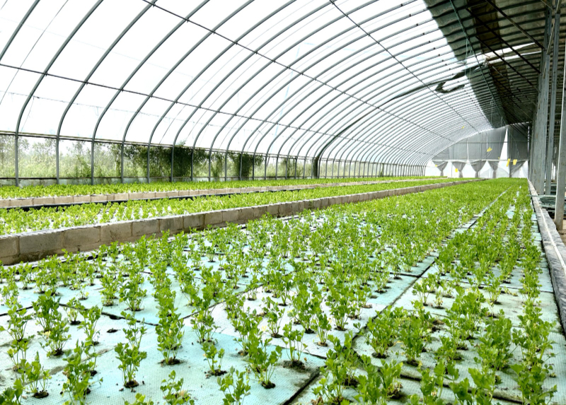 00c8c71d58d0499ba4c42e5af6fc9aea.jpg 00c8c71d58d0499ba4c42e5af6fc9aea.jpg