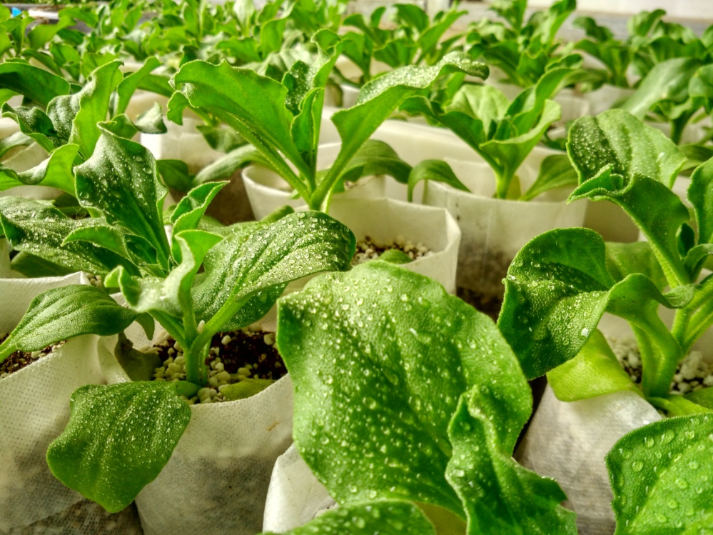 746623.png 746623.png