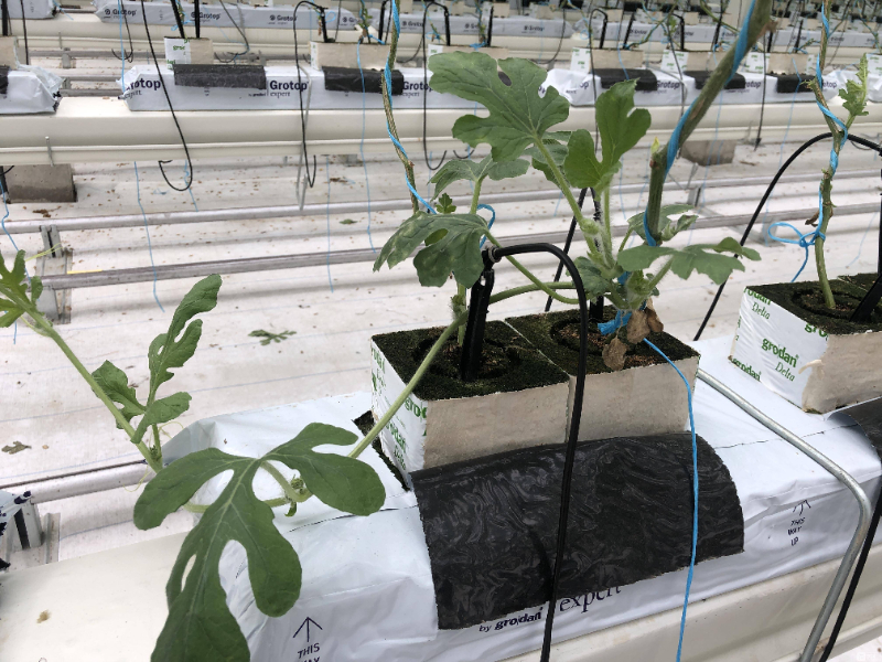 20191126163302VwBR.jpg 20191126163302VwBR.jpg