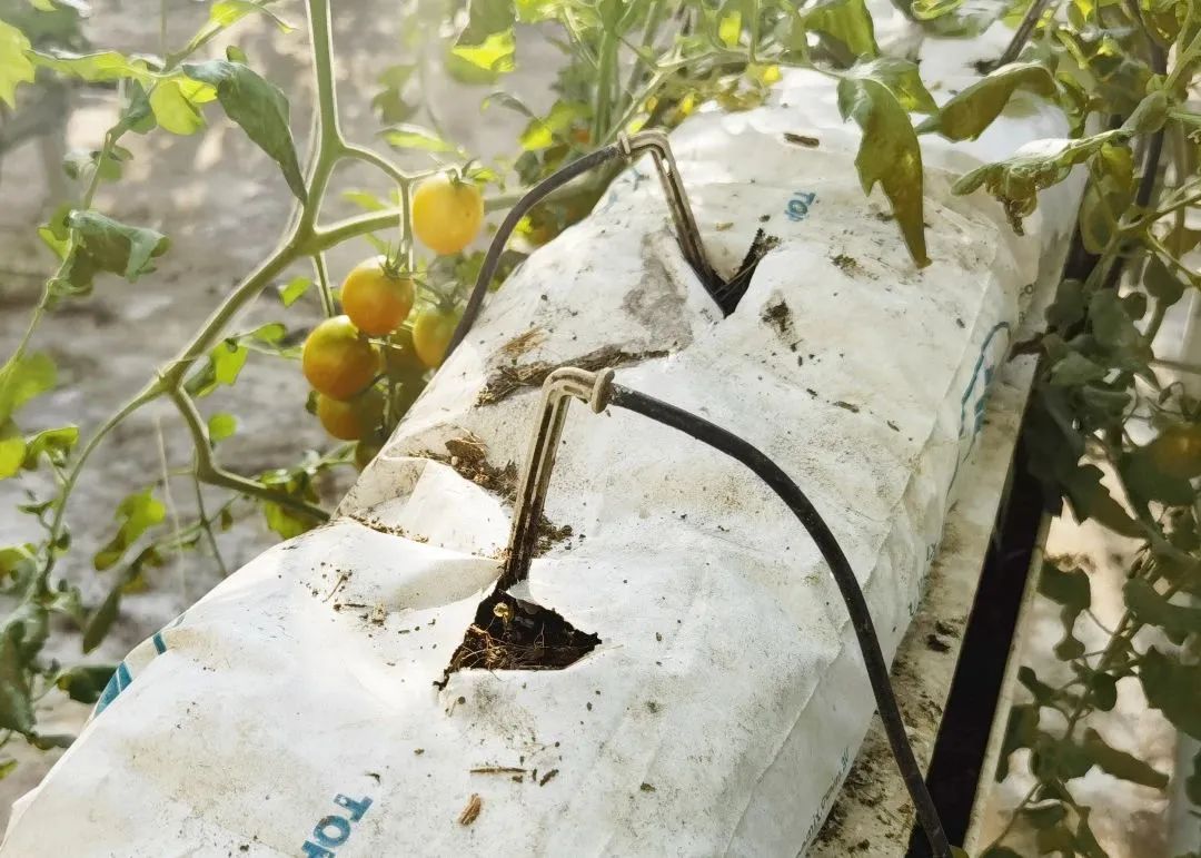 fb50-1f76906e2b540d577942c935bffa196d.jpg fb50-1f76906e2b540d577942c935bffa196d.jpg