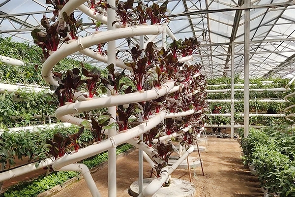 mmexport1716426354013.png mmexport1716426354013.png