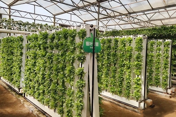 mmexport1716426350160.png mmexport1716426350160.png