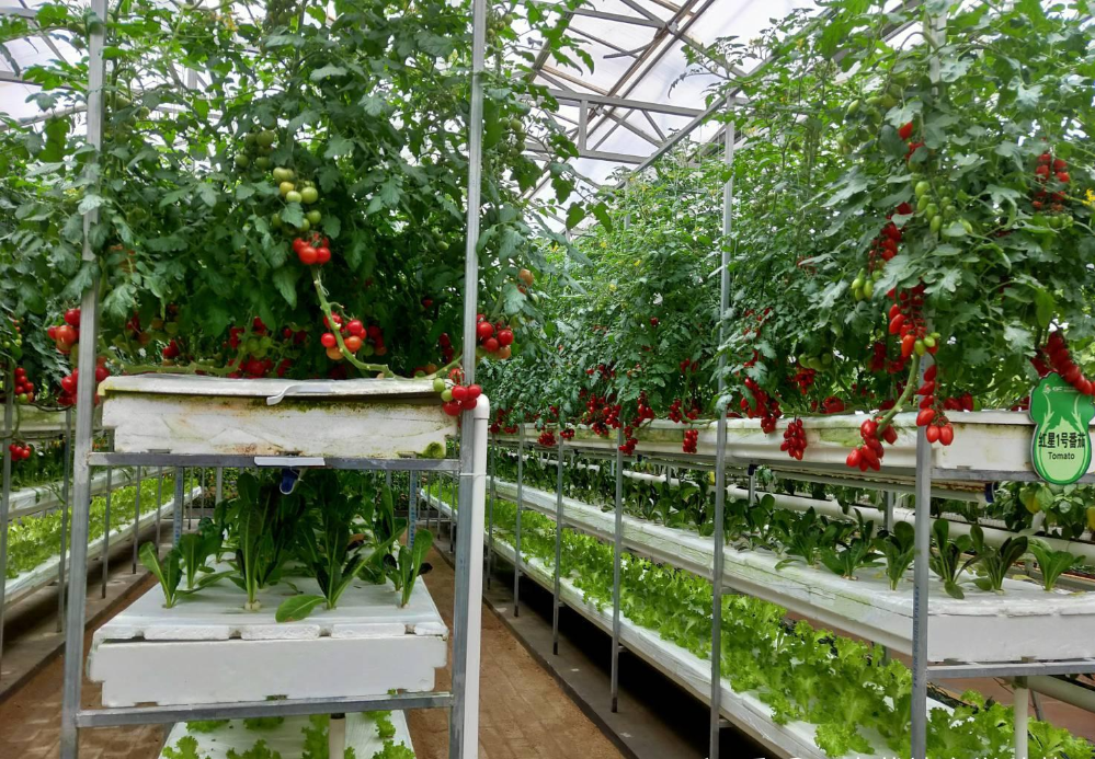 54656131.png 54656131.png