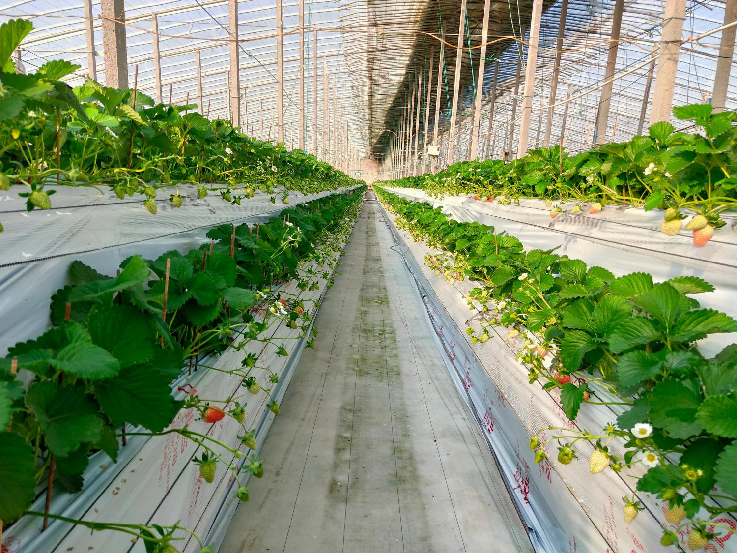 v2-5002231f5564d4321d35f8b9ec90b22d_r.jpg v2-5002231f5564d4321d35f8b9ec90b22d_r.jpg