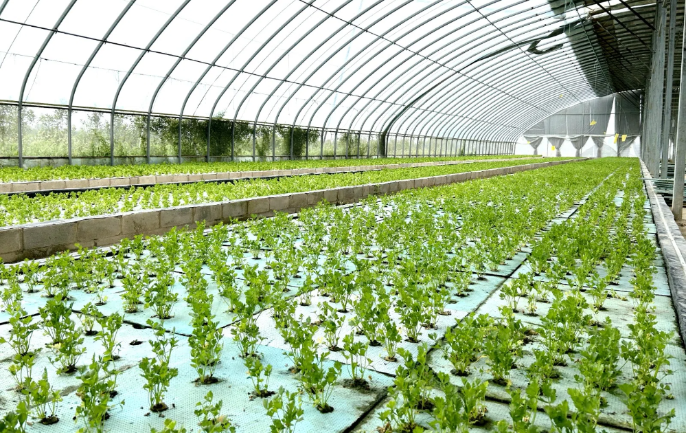 546785.png 546785.png