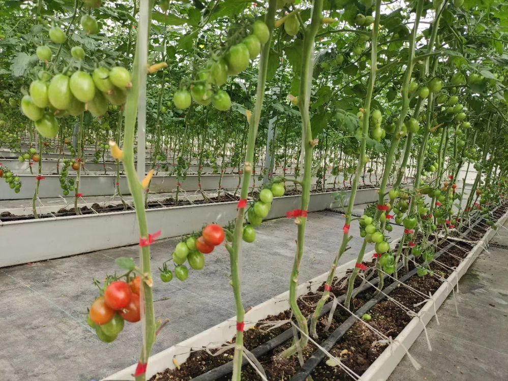 5825782.png 5825782.png