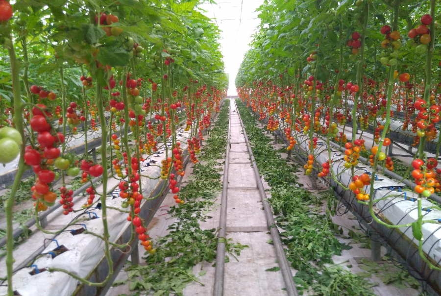 Oa1djlk2MZeRsMG1qY3Ei3KdVZrgbvQg1geZijYnO=LiM1486000954749compressflag.png Oa1djlk2MZeRsMG1qY3Ei3KdVZrgbvQg1geZijYnO=LiM1486000954749compressflag.png