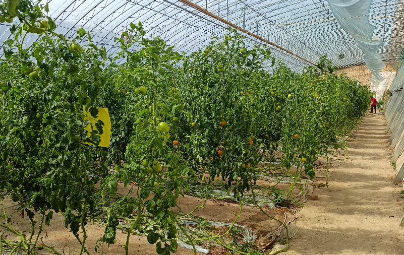 015258.png 015258.png