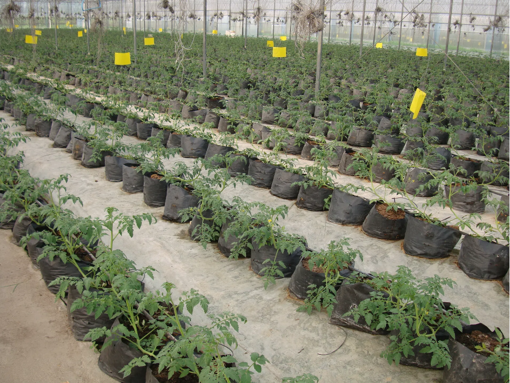 1865848322_801397703.png 1865848322_801397703.png