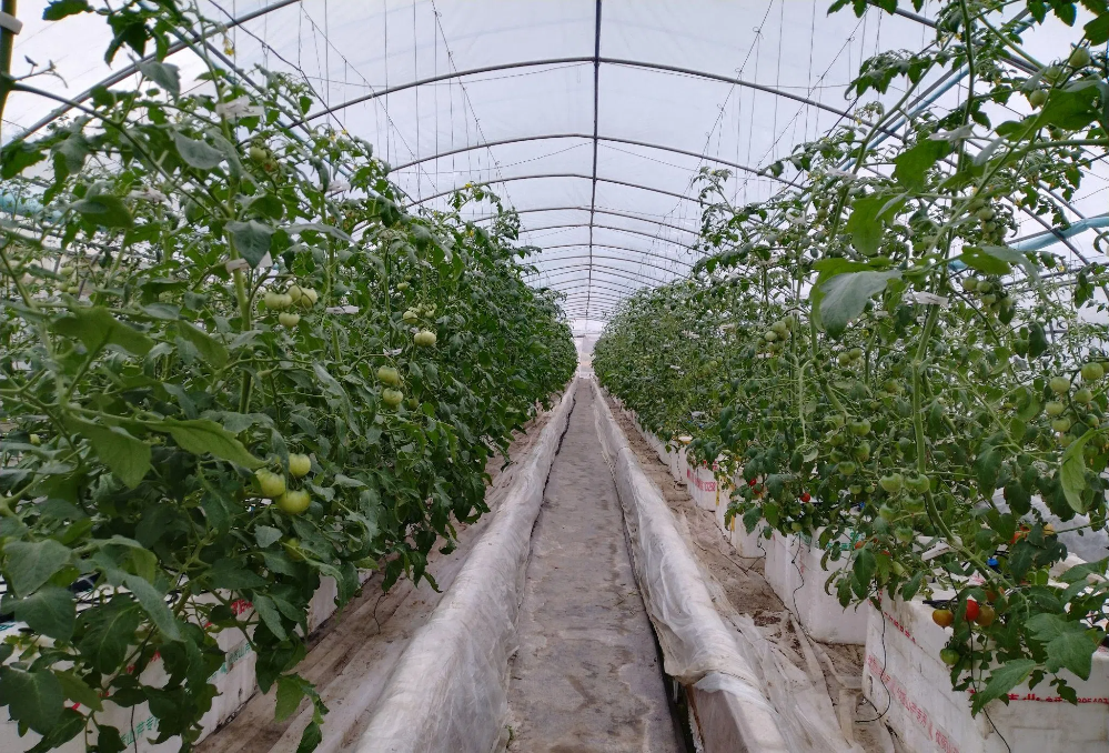 471852.png 471852.png