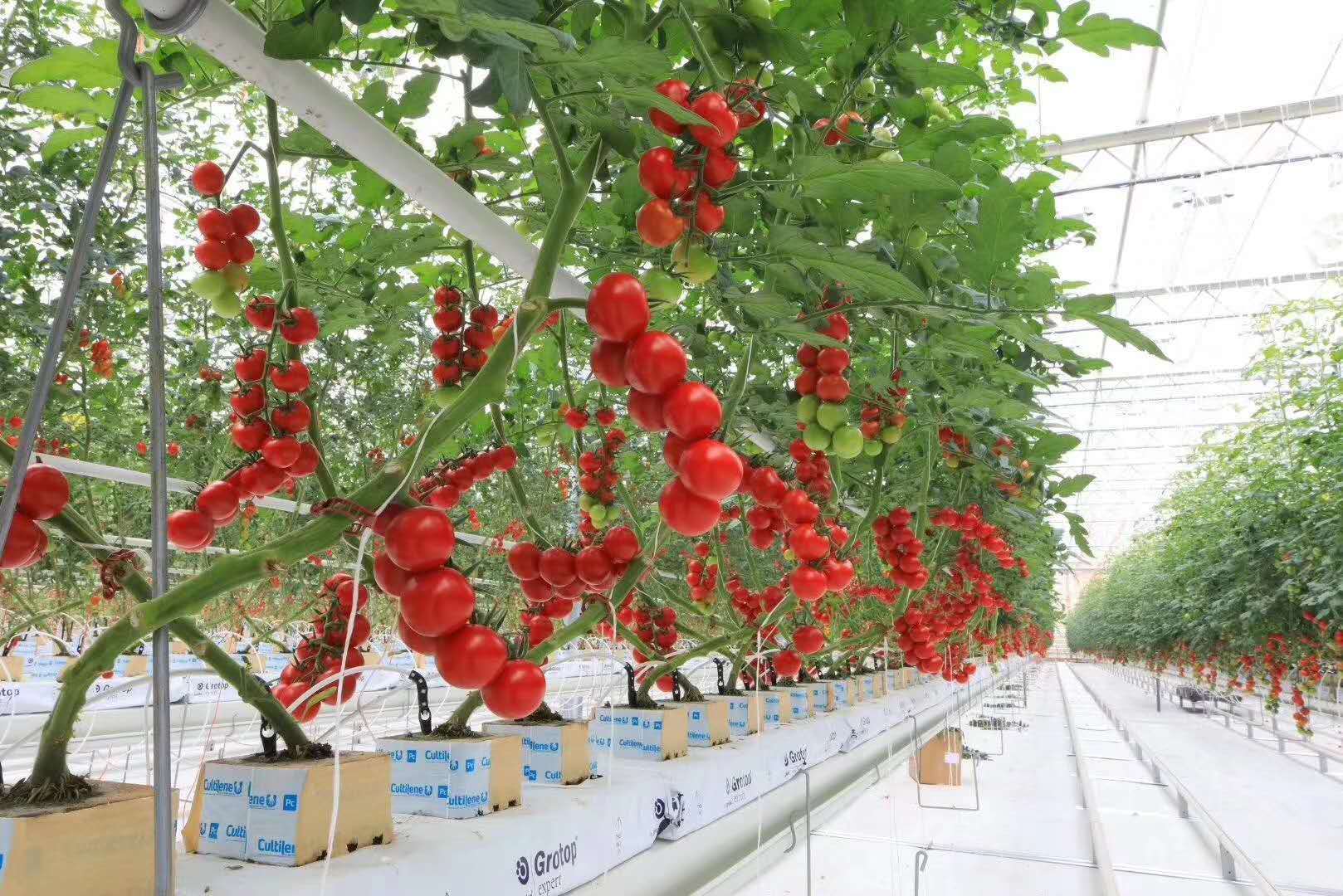 eafb2531-8f8a-4c8c-a329-3e4f765e9920.jpg eafb2531-8f8a-4c8c-a329-3e4f765e9920.jpg