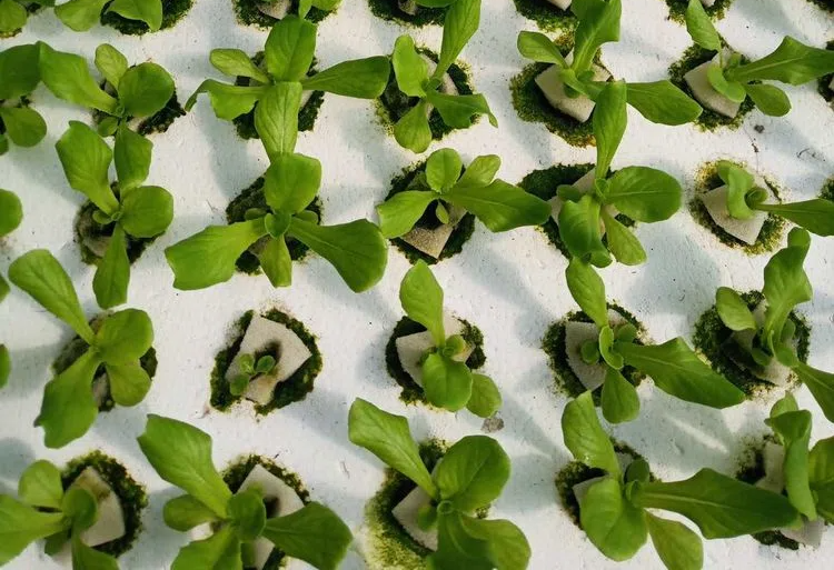 965432.png 965432.png