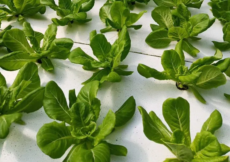 986565.png 986565.png