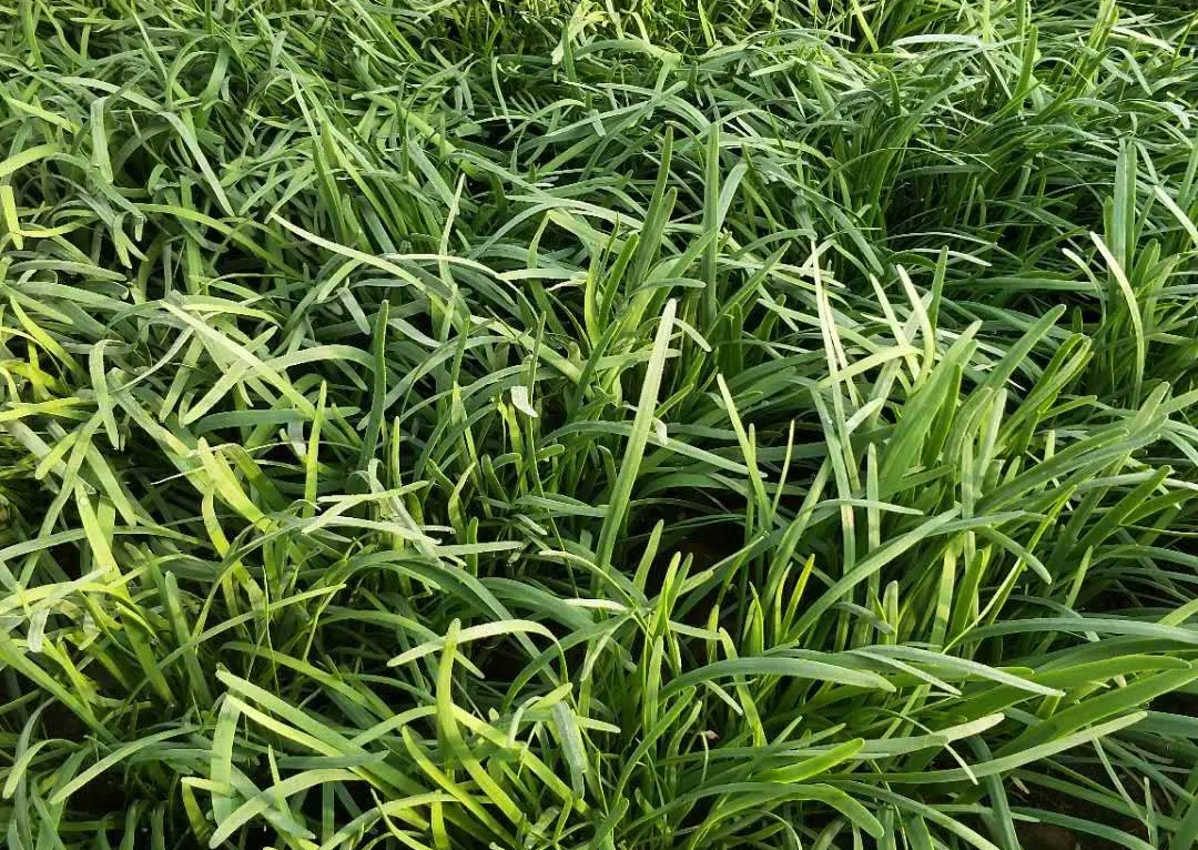 5965262.png 5965262.png