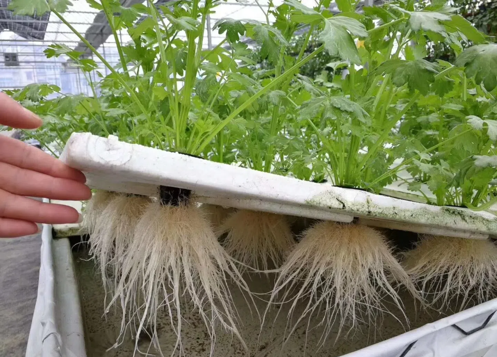 4798451.png 4798451.png