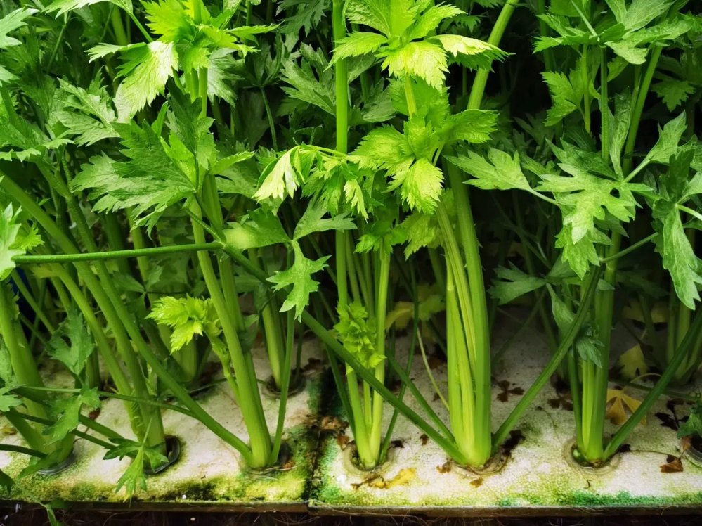 8525268.png 8525268.png