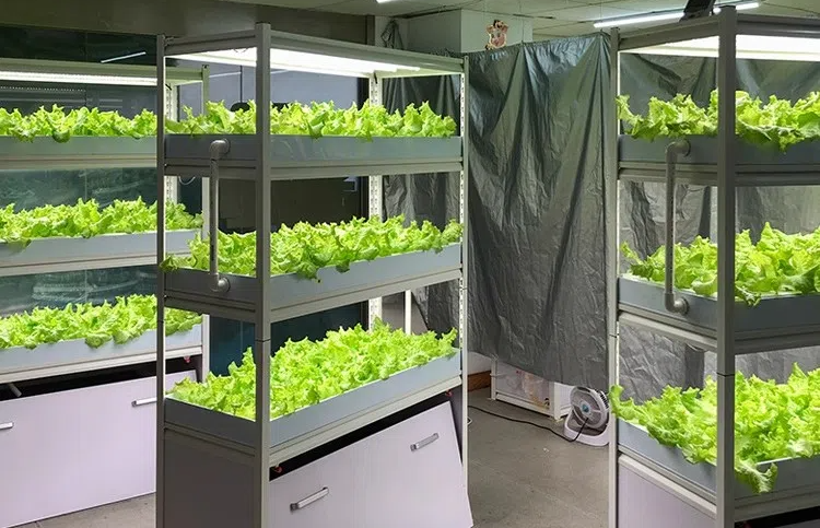 O1CN01wBpI4x21xrf5vhCoZ_!!79527052.png O1CN01wBpI4x21xrf5vhCoZ_!!79527052.png