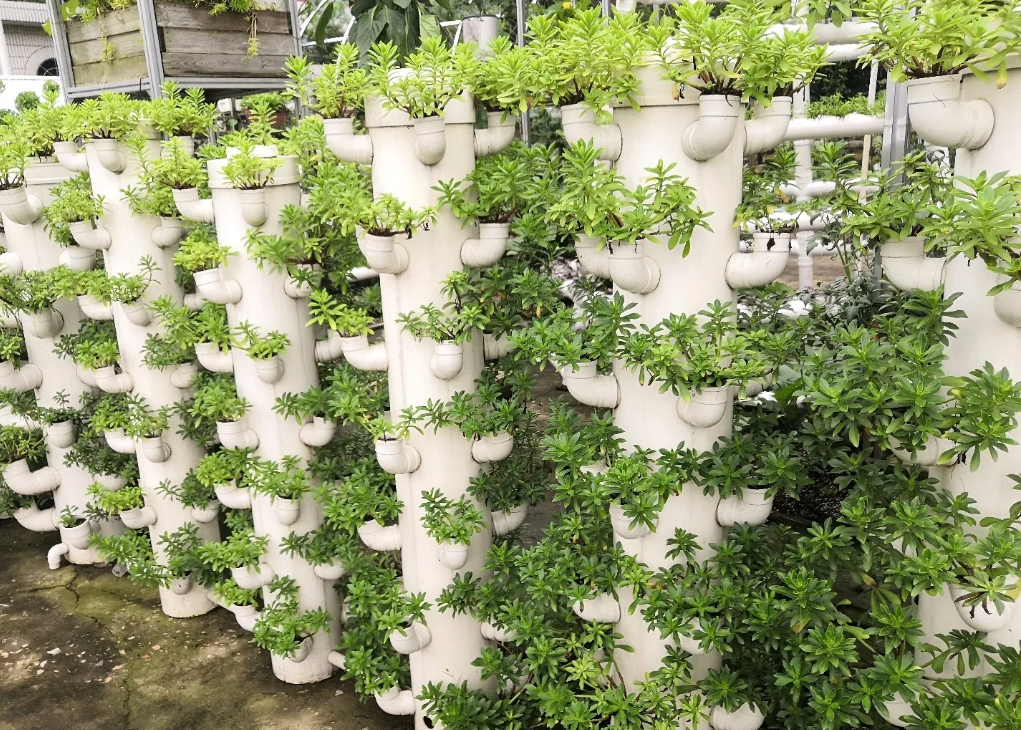 2d0c83ccf0f1381cf89828e0122d2eb003f6a9d7.png 2d0c83ccf0f1381cf89828e0122d2eb003f6a9d7.png