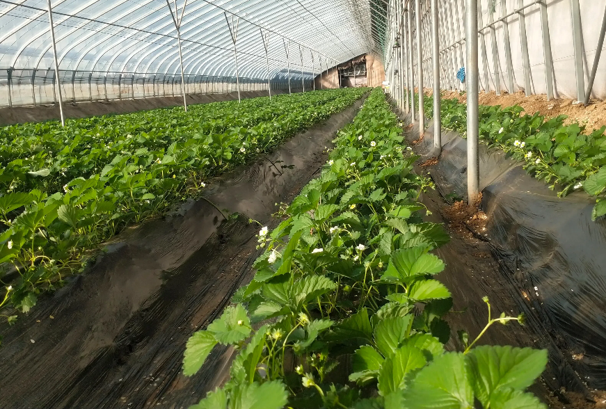 IMG_20231110_093100.png IMG_20231110_093100.png