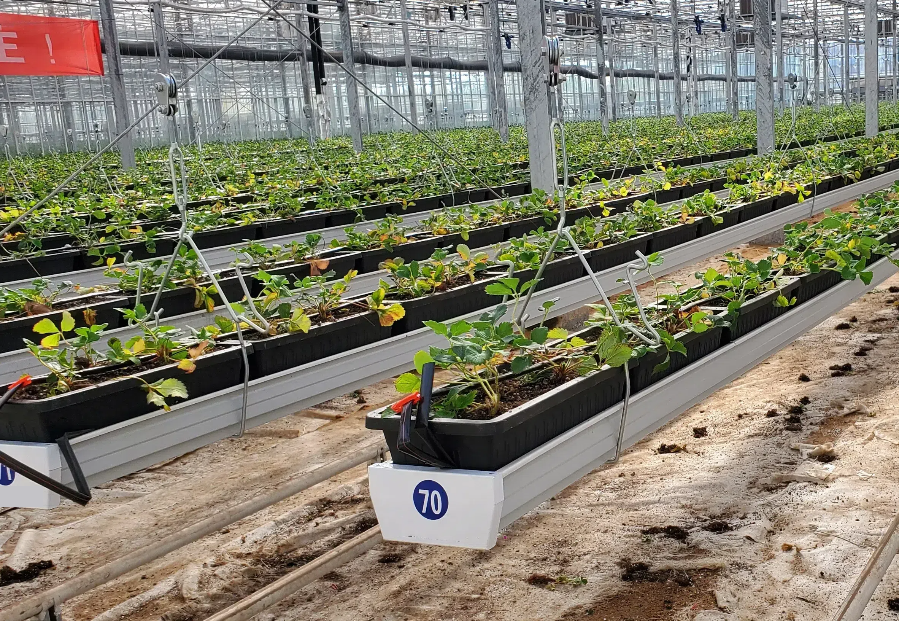 3842ee81b319323f45b85df2c3e601ac (1).png 3842ee81b319323f45b85df2c3e601ac (1).png