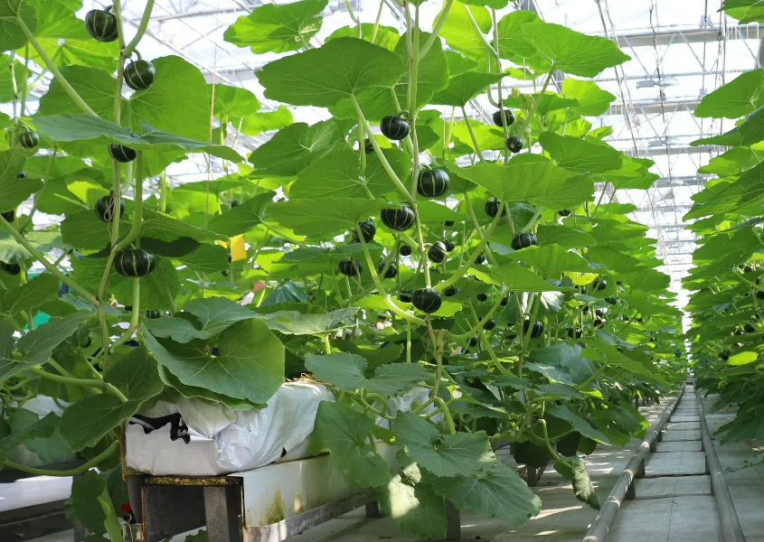 24aed892f0eccdd017c1fc734717414d (1).png 24aed892f0eccdd017c1fc734717414d (1).png