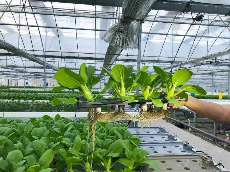 7accc035c0142f2b0d8f92f0f736ca0b.png 7accc035c0142f2b0d8f92f0f736ca0b.png