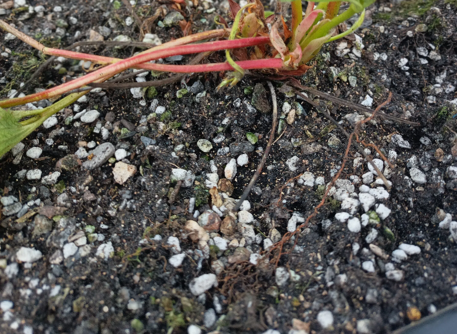 IMG20240317091104.png IMG20240317091104.png