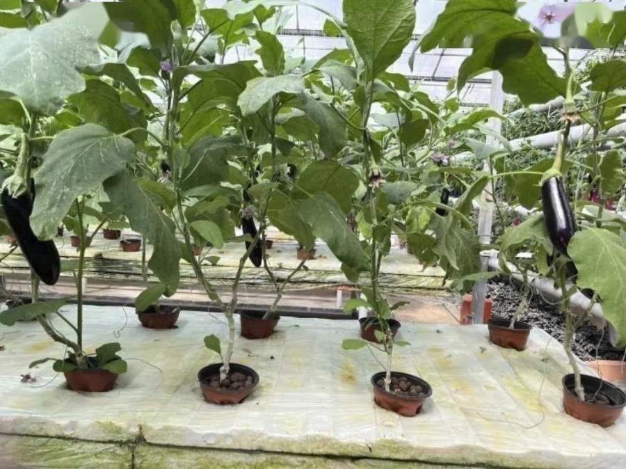 9180ea464299719ecdc8278bb35d3ce7.png 9180ea464299719ecdc8278bb35d3ce7.png