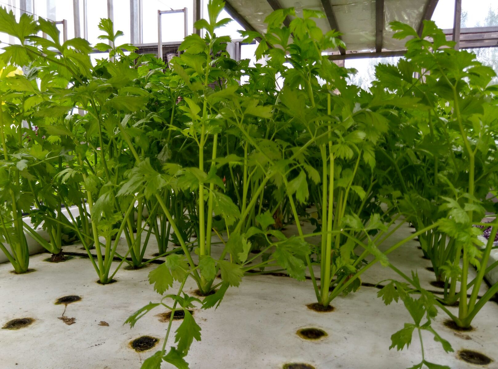 bf4283a5be87b45a44f08ccdb64cb81a.jpg bf4283a5be87b45a44f08ccdb64cb81a.jpg