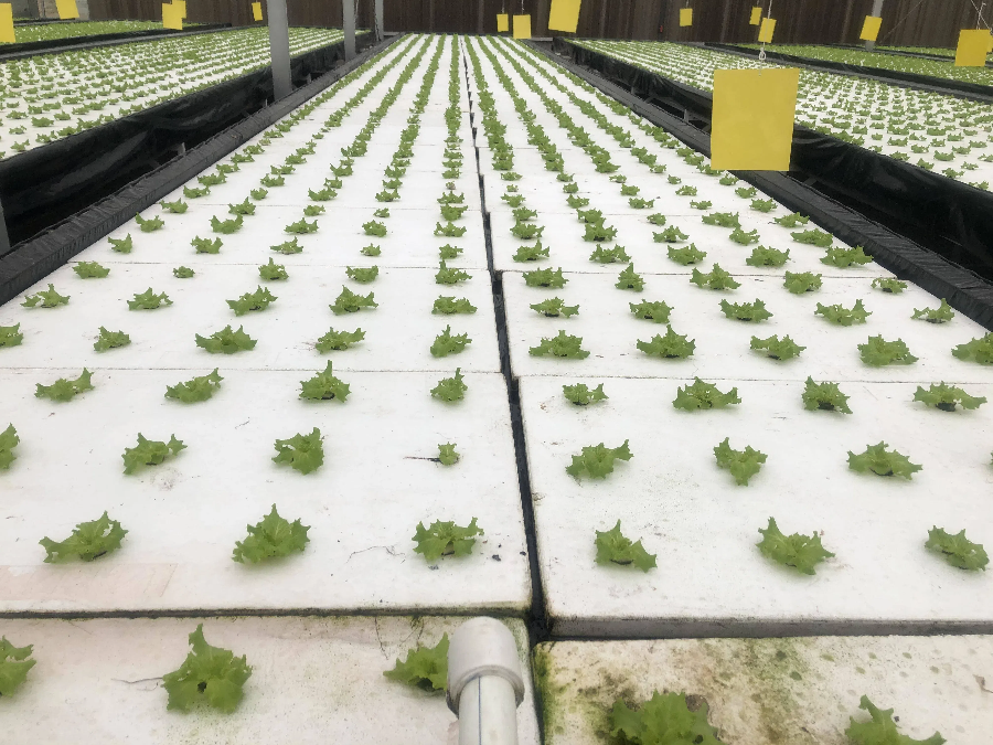 d3ffe8bc5c6d267d5ed8097c01b711ee.png d3ffe8bc5c6d267d5ed8097c01b711ee.png