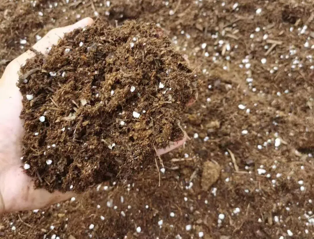 t017f378acd246c34d9.png t017f378acd246c34d9.png