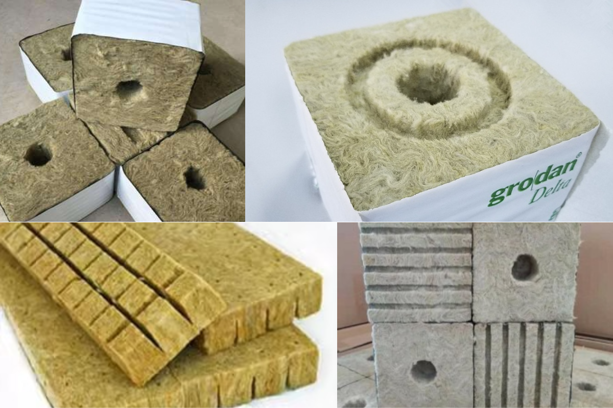 下載 (1).png 下載 (1).png