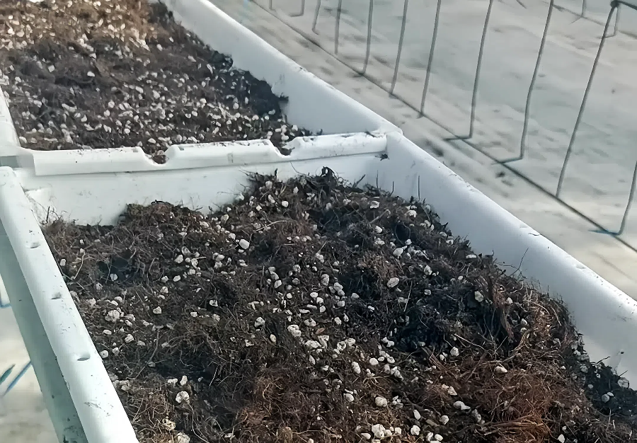 50ab3b89ae9c991cb47229f371643cdc (1).png 50ab3b89ae9c991cb47229f371643cdc (1).png