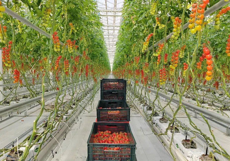 05afef2864d3b7f190ad9610041e4e94 (1).png 05afef2864d3b7f190ad9610041e4e94 (1).png