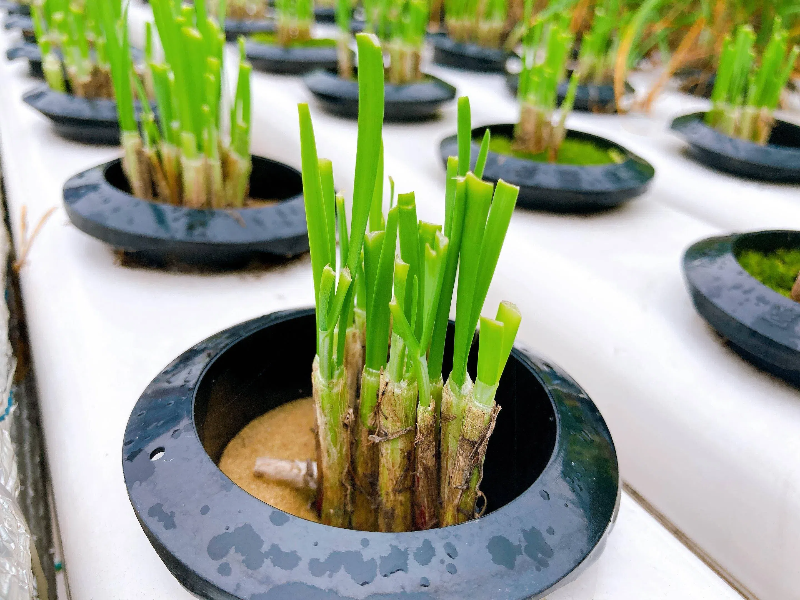 9cd69567b58d71337f9101906327dacd.png 9cd69567b58d71337f9101906327dacd.png