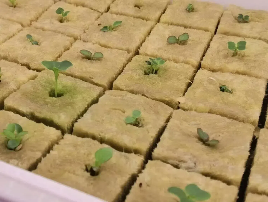 df4349a22dd49ee79186efd6fd2f3ff5 (1).png df4349a22dd49ee79186efd6fd2f3ff5 (1).png