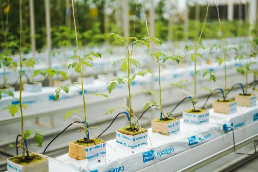 49eff63f8697bb7a060421db68a37fd3.png 49eff63f8697bb7a060421db68a37fd3.png