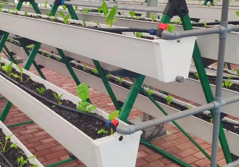 723ce26226e9afa42b4a0521b47b5beb.png 723ce26226e9afa42b4a0521b47b5beb.png