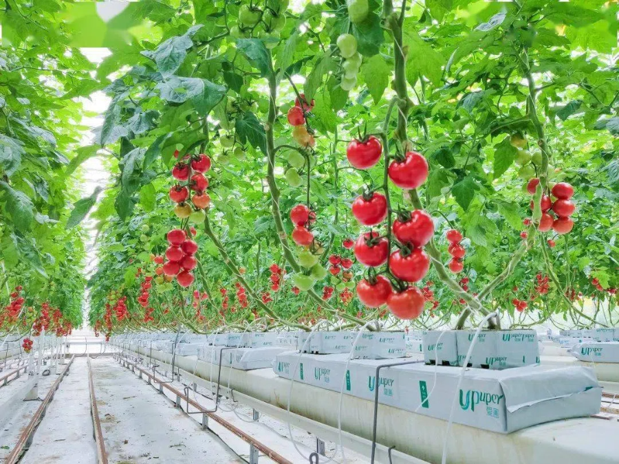 50b2fcd776c7fdb2f27fa6c43722e317.png 50b2fcd776c7fdb2f27fa6c43722e317.png