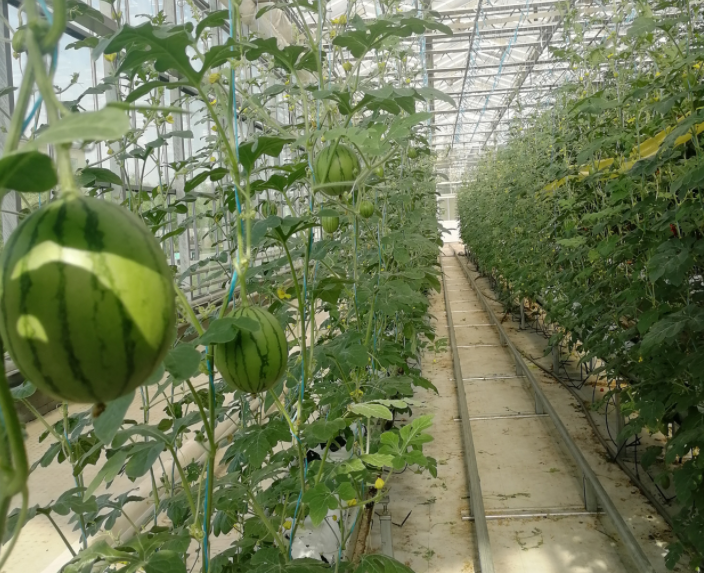 QQ20240924-171623.png QQ20240924-171623.png