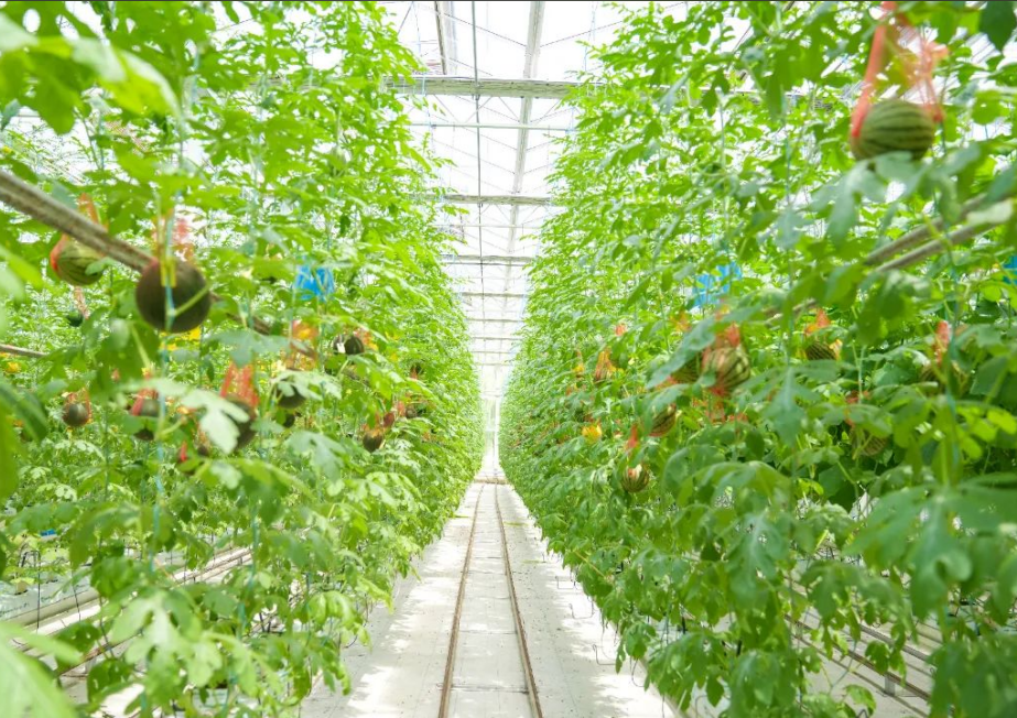 QQ20240924-171640.png QQ20240924-171640.png