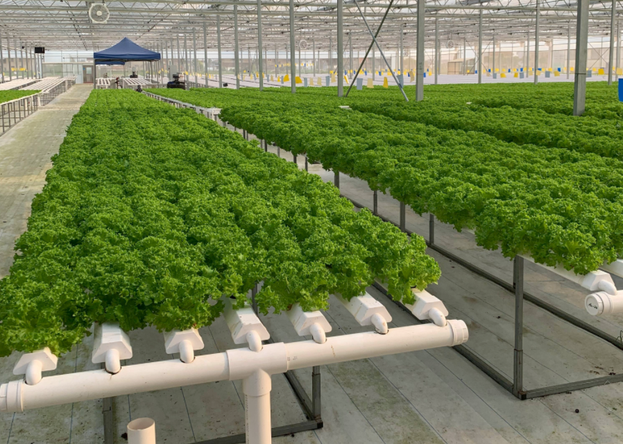 QQ20240926-145209.png QQ20240926-145209.png