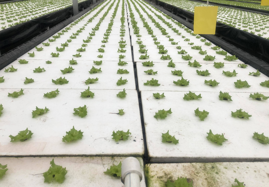 QQ20240926-145256.png QQ20240926-145256.png