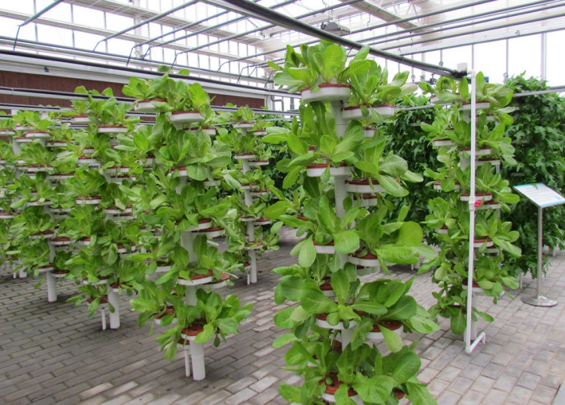 QQ20240926-150343.png QQ20240926-150343.png