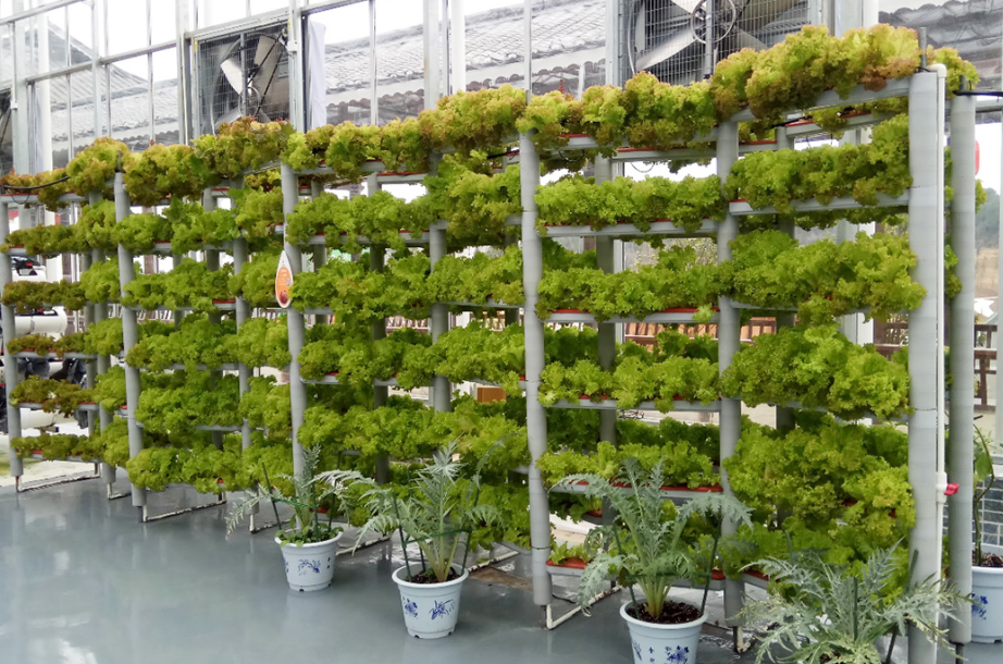 QQ20240926-150425.png QQ20240926-150425.png