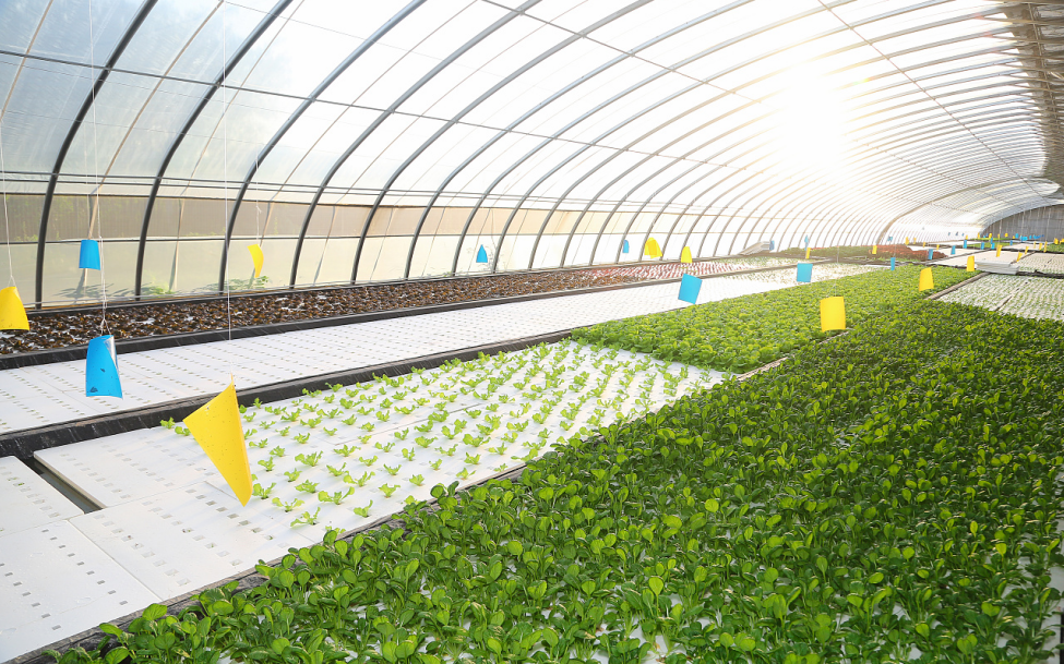 截圖20240930152225.png 截圖20240930152225.png