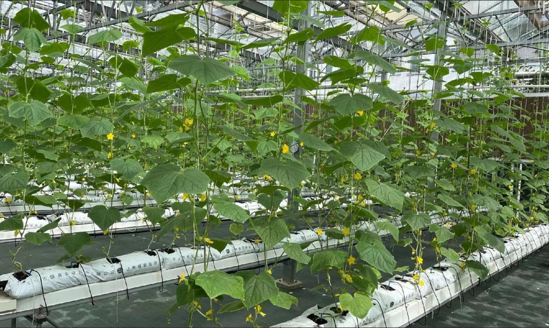 截圖20240930152354.png 截圖20240930152354.png