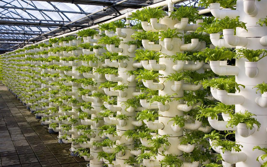 截圖20240930152339.png 截圖20240930152339.png